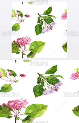 seamless pattern with watercolor pink apple tree flowers