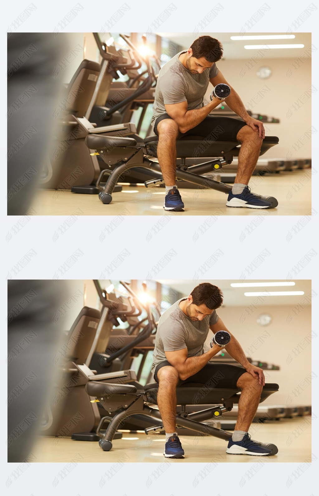 在健身房进行力量锻炼时肌肉男子举起哑铃坐在长凳上的全长肖像复制