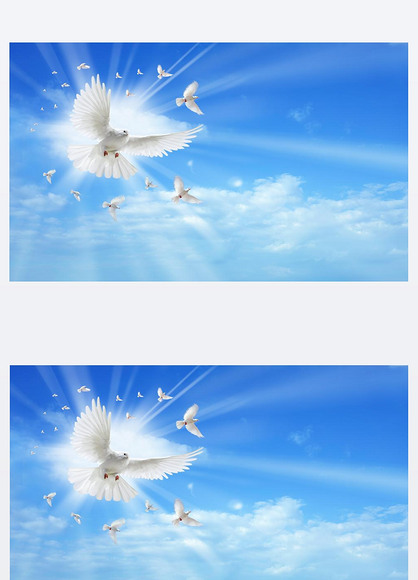 圣灵只鸽子飞在天空中