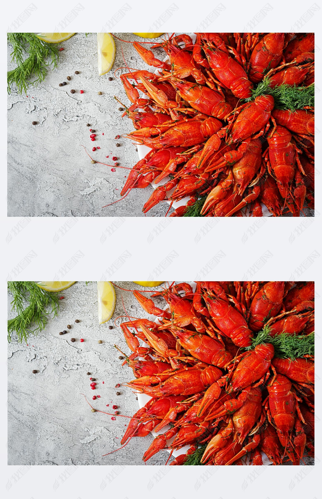  Ϻ crawfishes ڲϵӷ, дϺд߽绨ͼ