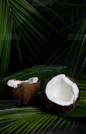 Coconut on dark tropical lees