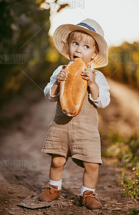 a boy in a field of sunflowers eats wheat bread, the loaf is partially bitten off