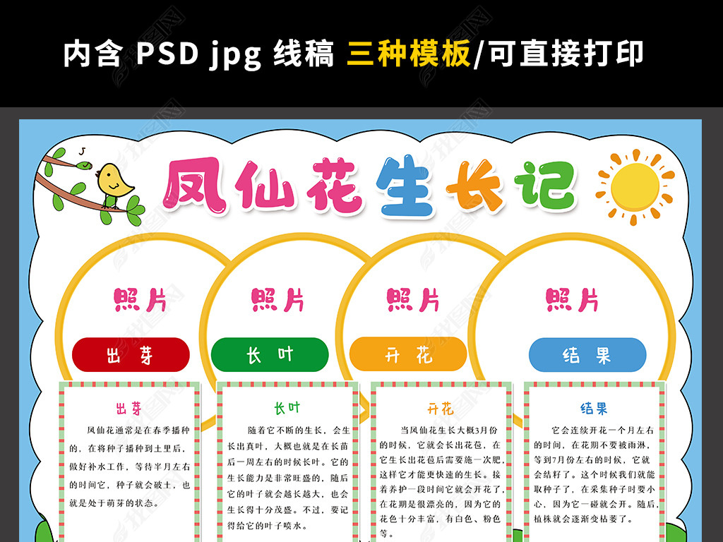 四年级凤仙花手抄报图片