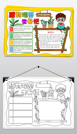 植物生长手抄报凤仙花成长日记分解小报电子小报