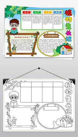 植物生长小报凤仙花成长日记分解手抄报电子小报