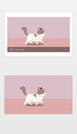 猫咪走路flashcc2019