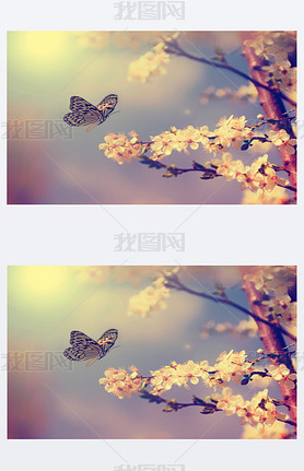 Vintage butterfly with flowers