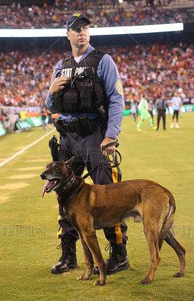 ¬ɪ, -2018725: ݾ K-9 λṩȫ2018ʹھ˹س vs  Fc  Metlife 