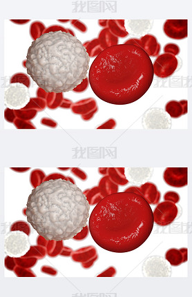 white blood cell,  leucocyte. 3d render