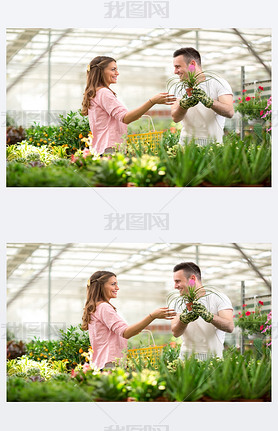 Seller recommend flowers in greenhouses