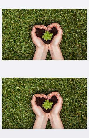 原创在绿草地球日概念上手捧心形土的女性裁剪图像版权可商用