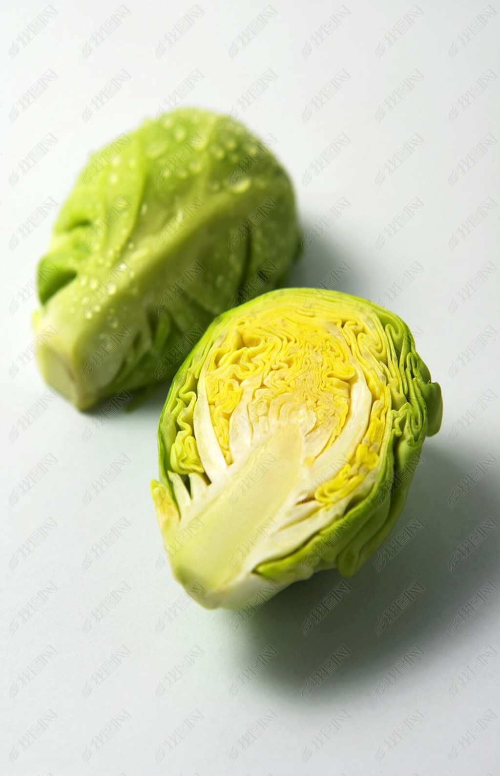 原创卷心菜版权可商用