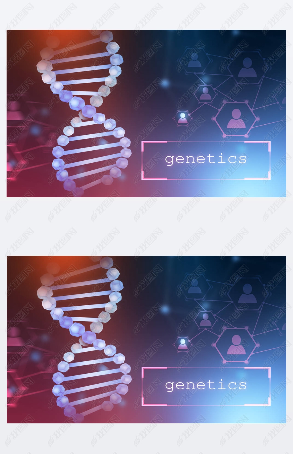 蓝色的 dna 螺旋和人网络图标的蓝色紫色背下载-编号25892849-人物情