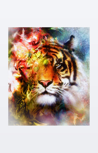 老虎的拼贴在色彩抽象背景和 ornamet,野生动物与曼陀罗.