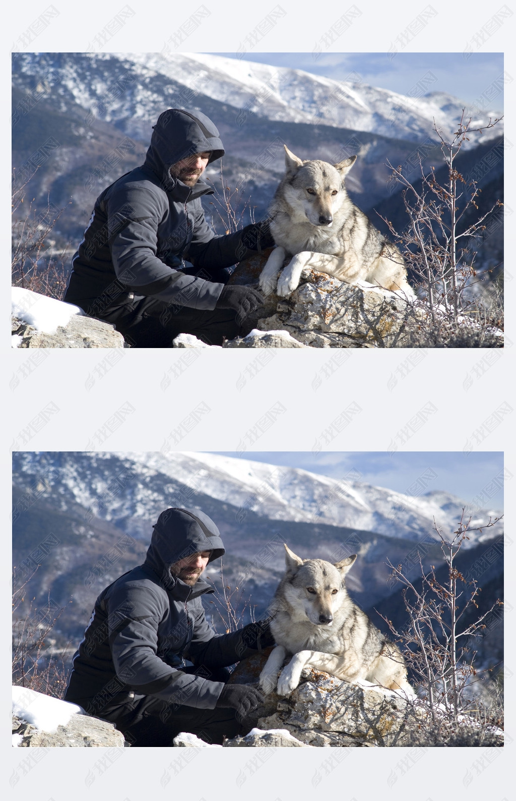 ڶɽ޹