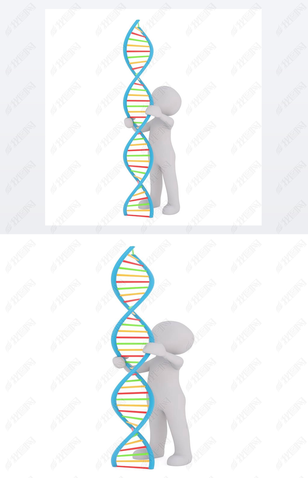 dna Ŵѧѧо