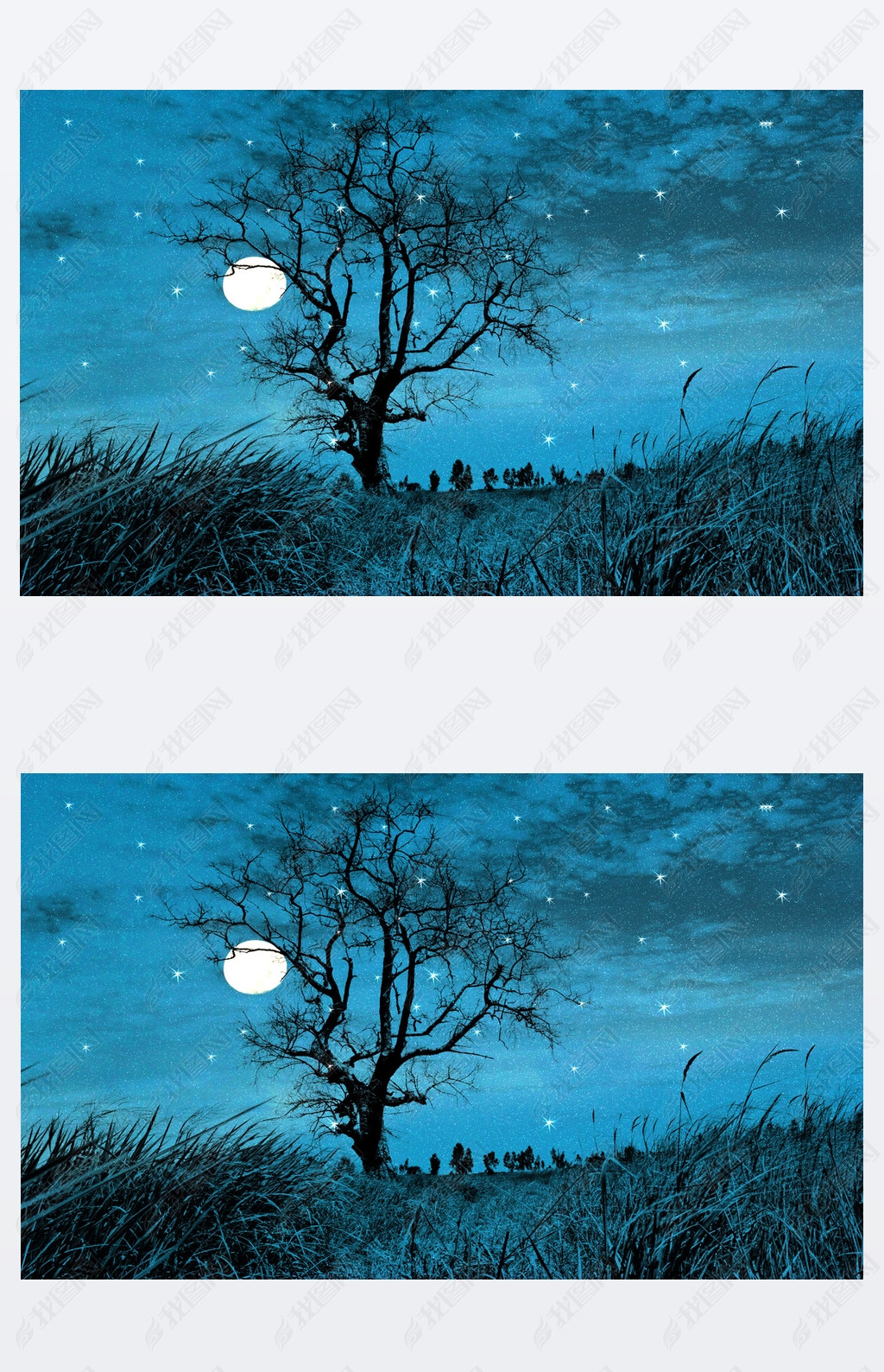 night forest on a starry sky background