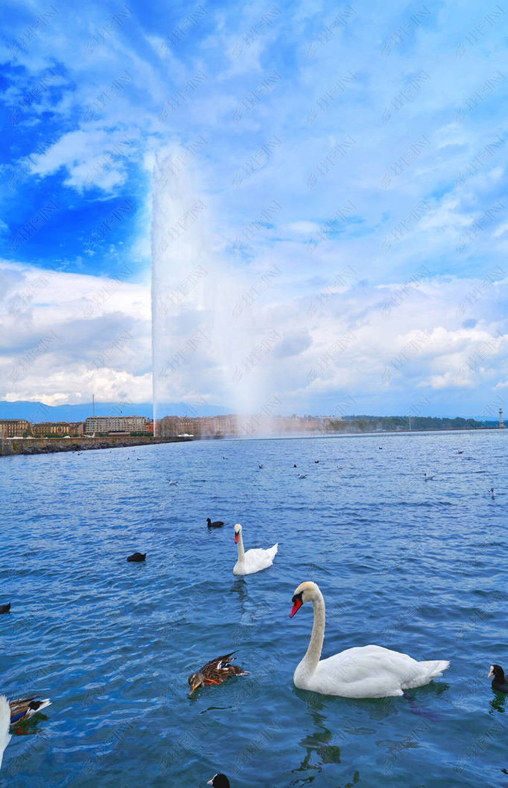 Geneva Geneve Lake Water Jet D'eau Switzerland Swiss Leman