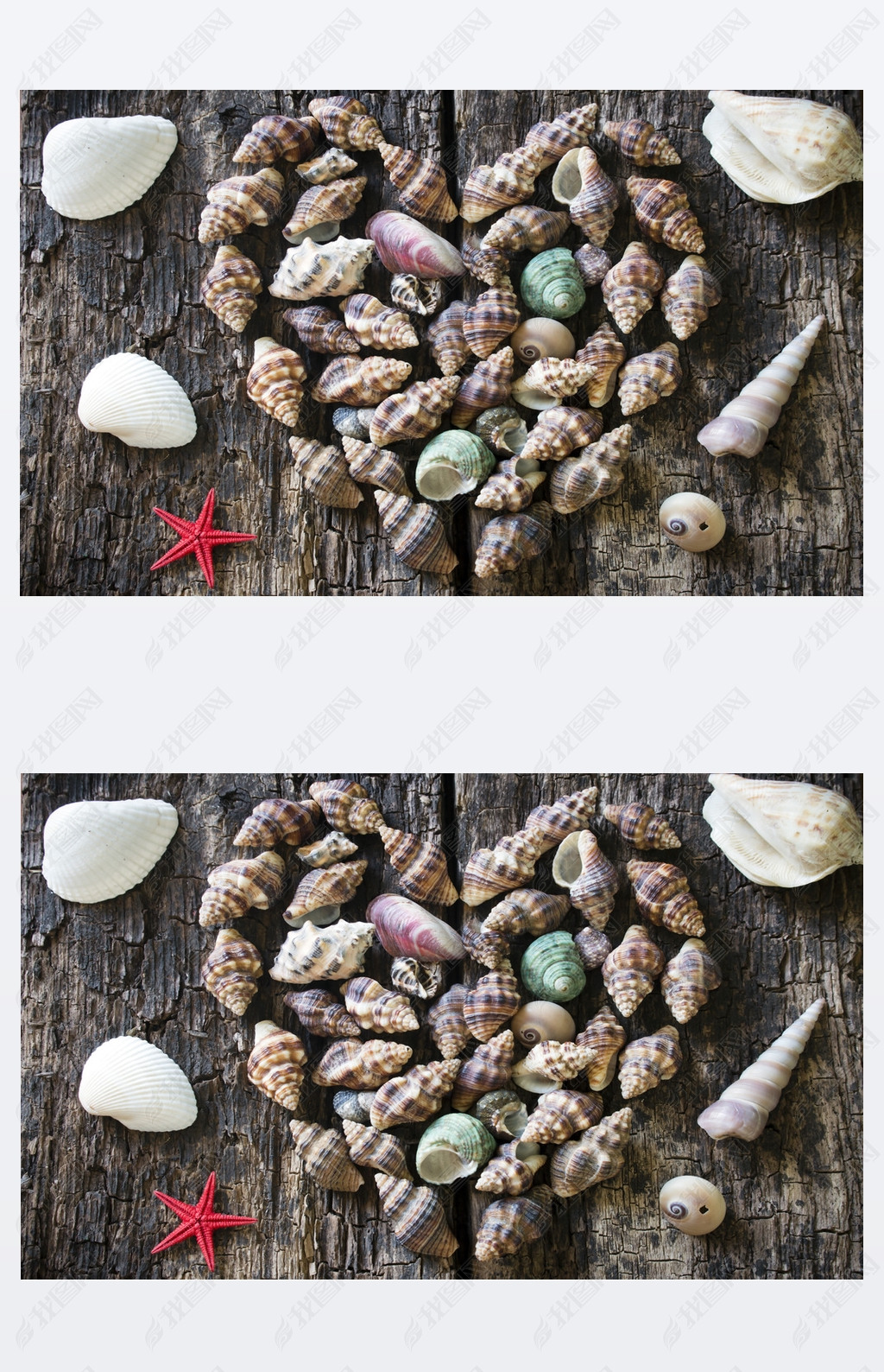 Heart of seashells and starfish on wooden background