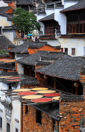 Hot peppers, corns, chrysanthemum flowers, and other crops and harvests are dried on roofs and racks