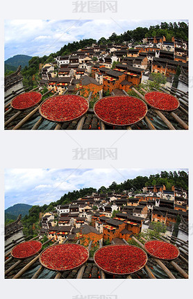 Hot peppers, corns, chrysanthemum flowers, and other crops and harvests are dried on roofs and racks