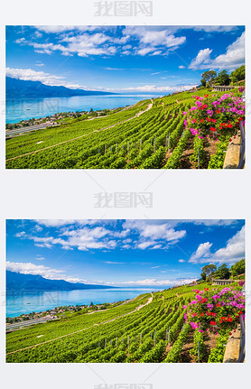 Beautiful Laux wine region at Lake Geneva, Canton of Vaud, Switzerland