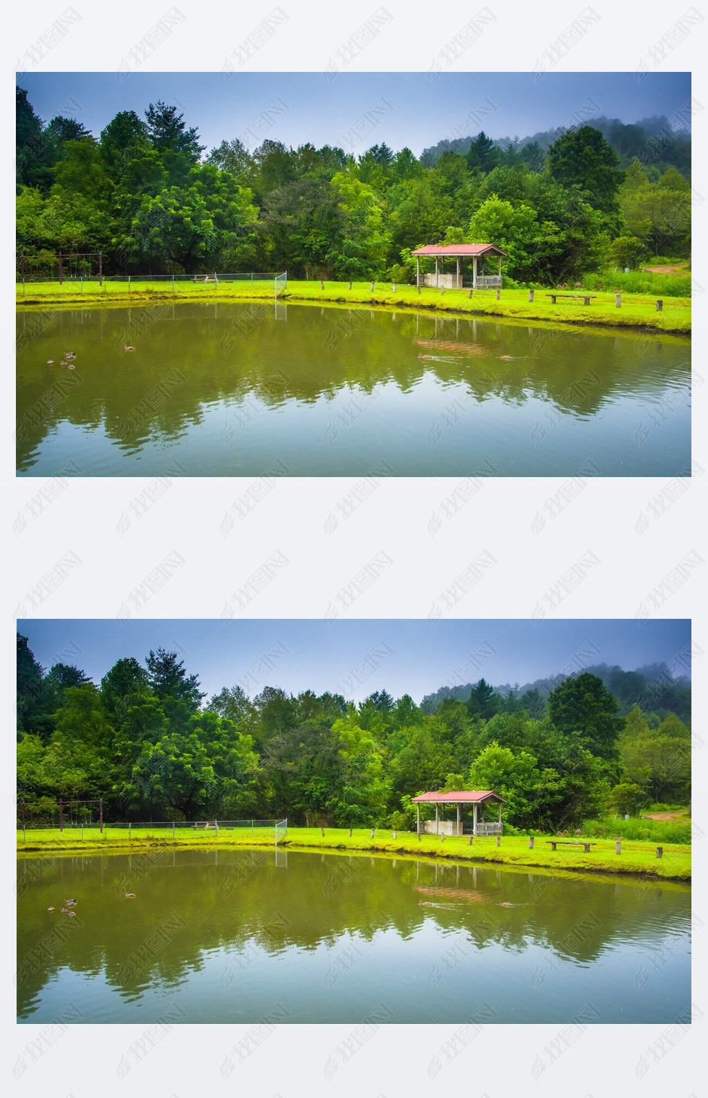 Pond in Roan, North Carolina. 