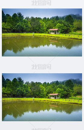 Pond in Roan, North Carolina. 