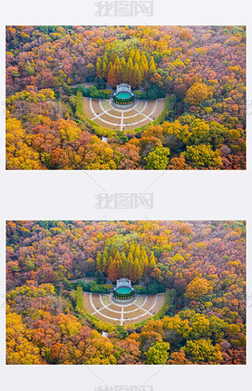 An aerial view of the colorful autumn lees in Zhongshan Park scenic spot in Nanjing city, east Chi