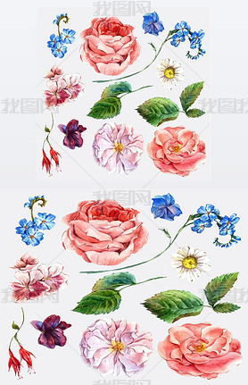 Set vintage watercolor bouquet of roses and wildflowers