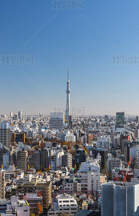 оۺ붫ر궫 Skytree 