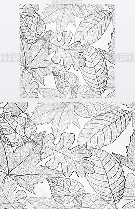 Autumn transparent maple lees pattern background. Black and white art autumn lees pattern. Fabri