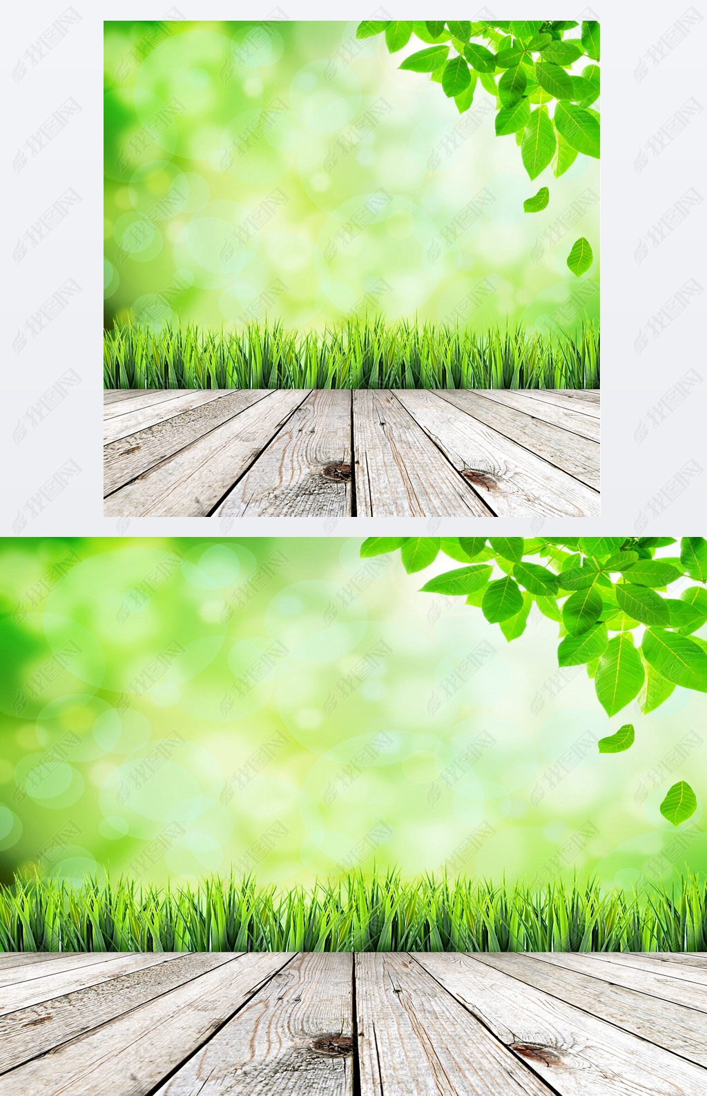 Green natural abstract background