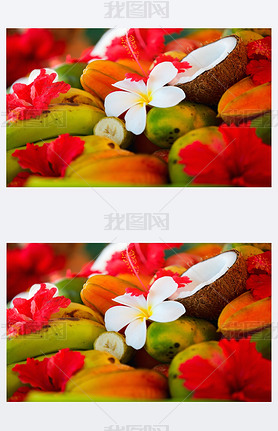 Coconuts, fruits and tropical flowers