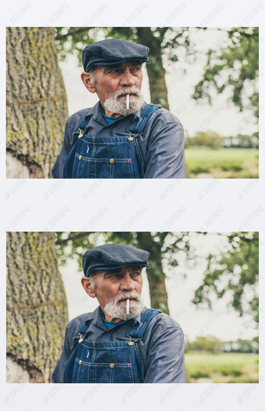 Senior country farmer oking