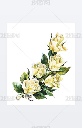 white roses watercolor