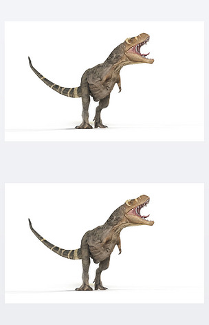 白色背景霸王龙3d插图