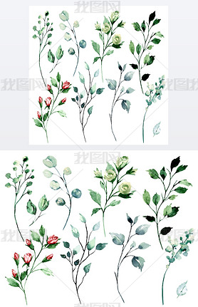 branches with watercolor drawing flowers and lees, floral concept