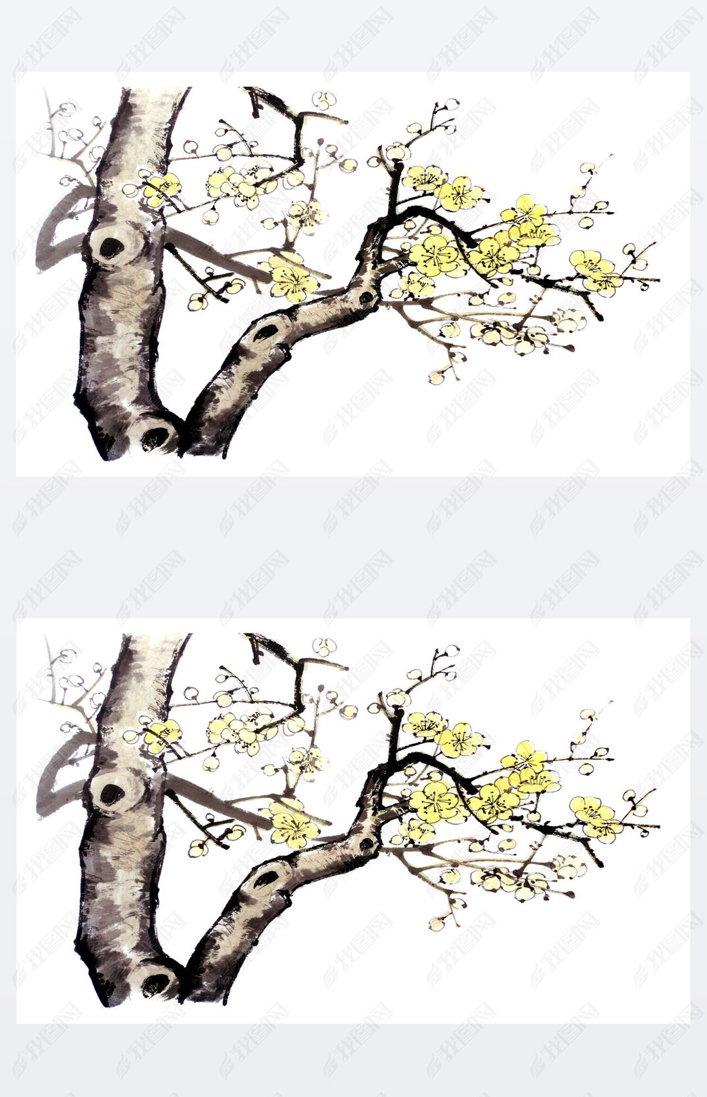 枝条开花的树的枝条梅花的黄色花柱水彩画和水墨画风格苏美中国传统