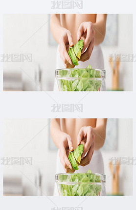 Cropped view of fit woman cooking salad with juicy ocado in kitchen, panoramic shot