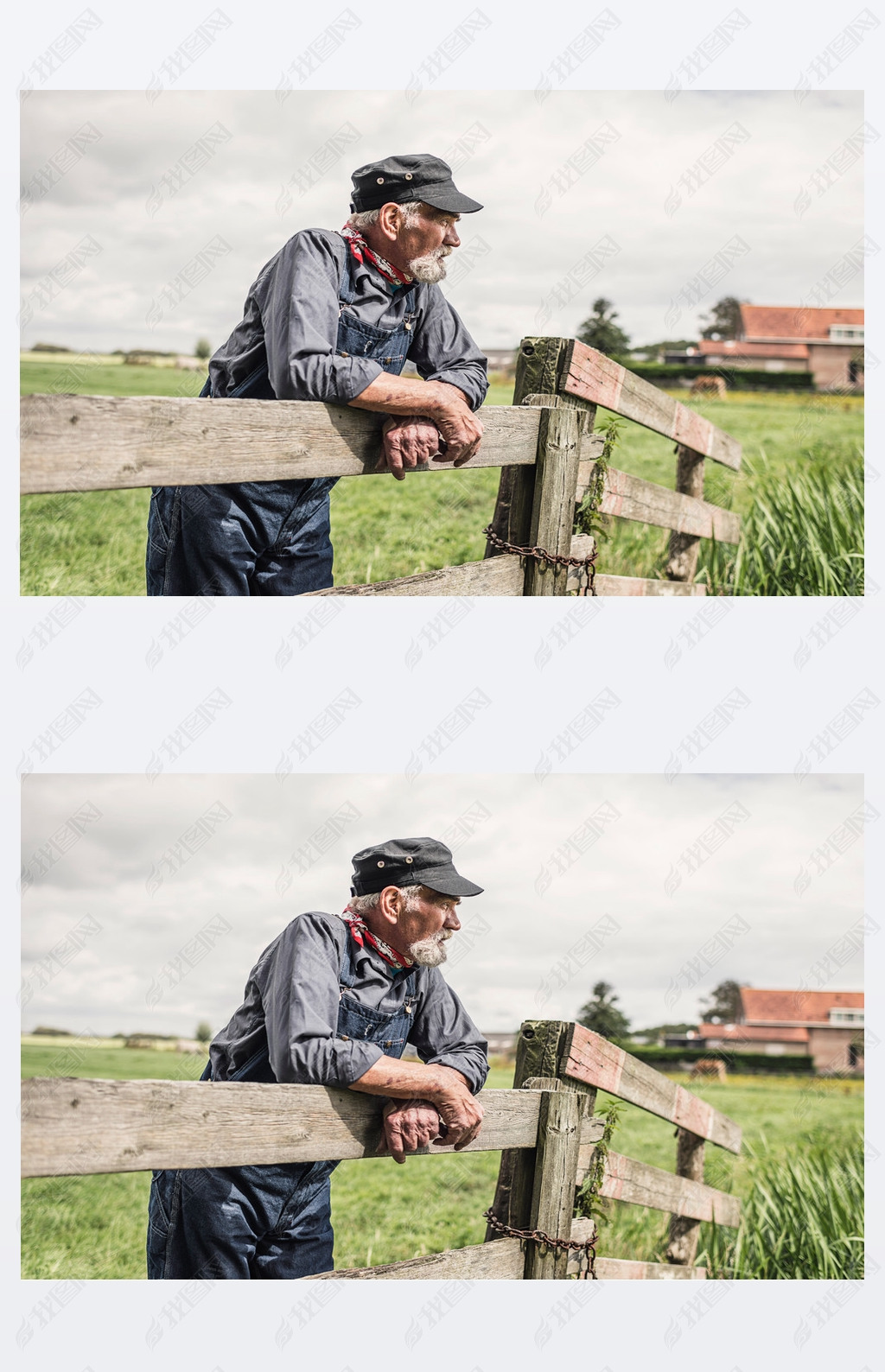 Elderly farmer leaning on paddock fence