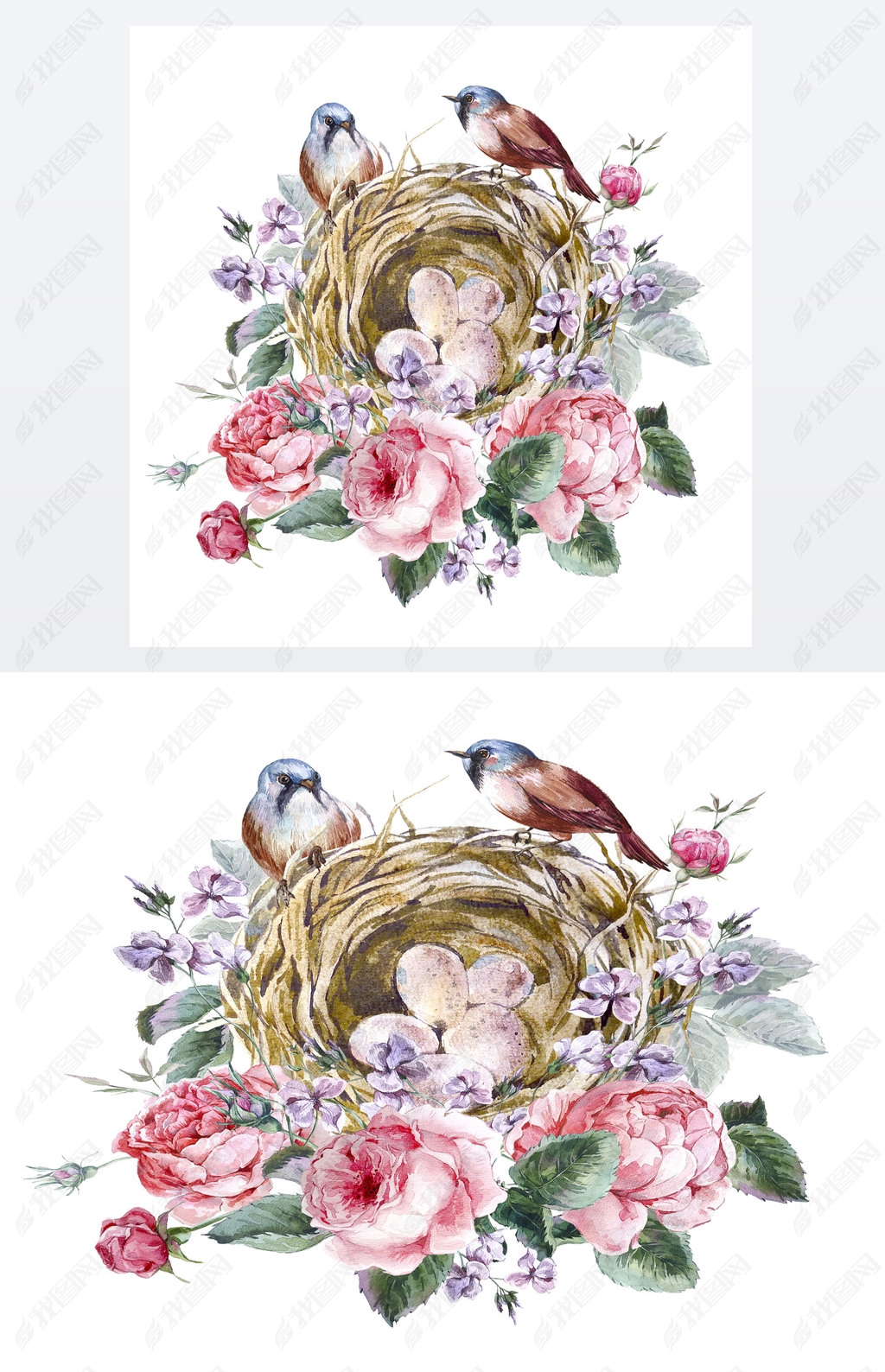 Classical watercolor floral vintage greeting card with rose birds nests and feathers