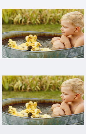 原创可爱的小男孩玩在背面亮手中的小鸭版权可商用