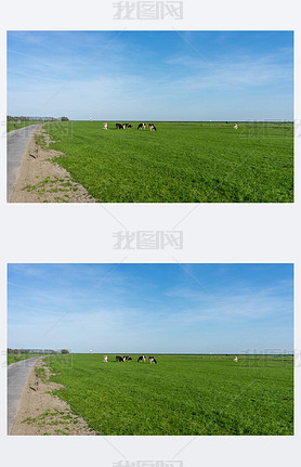 Netherlands, Wetlands, Maarken, Europe, SCENIC Overview OF GRASSY Field against SKINST SKY