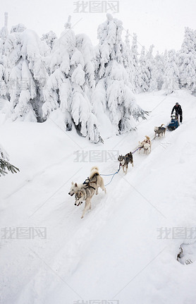 Sledge dogging, Sedivacek's long, Czech Republic