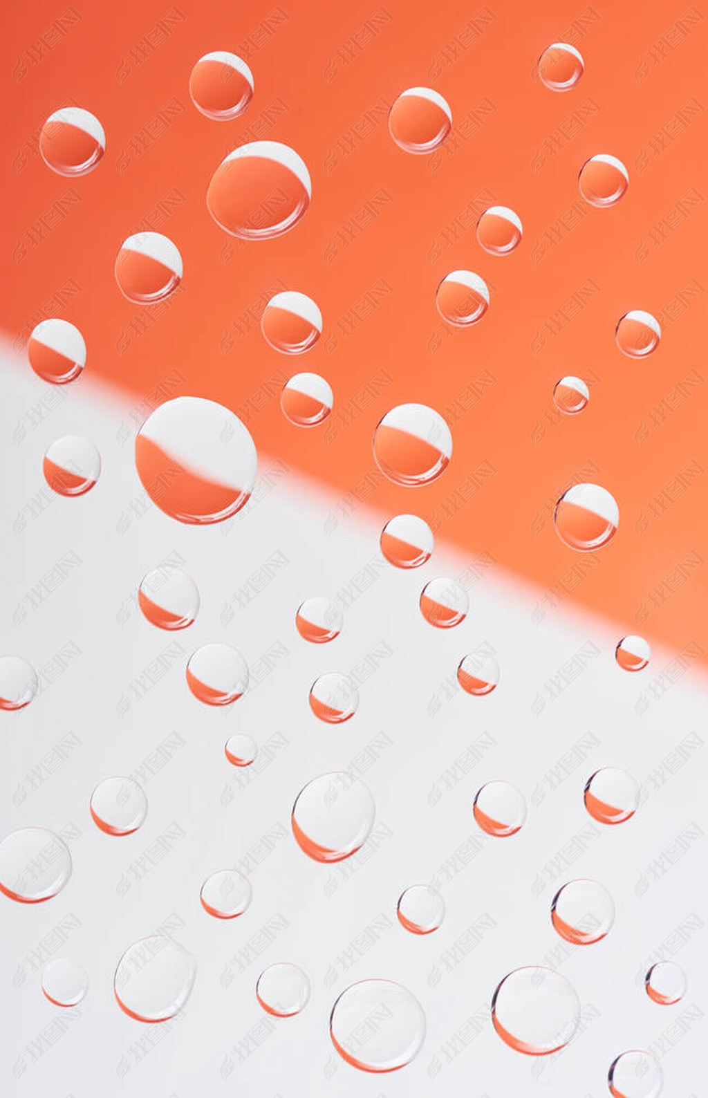 close-up view of transparent calm water drops on white and orange background          