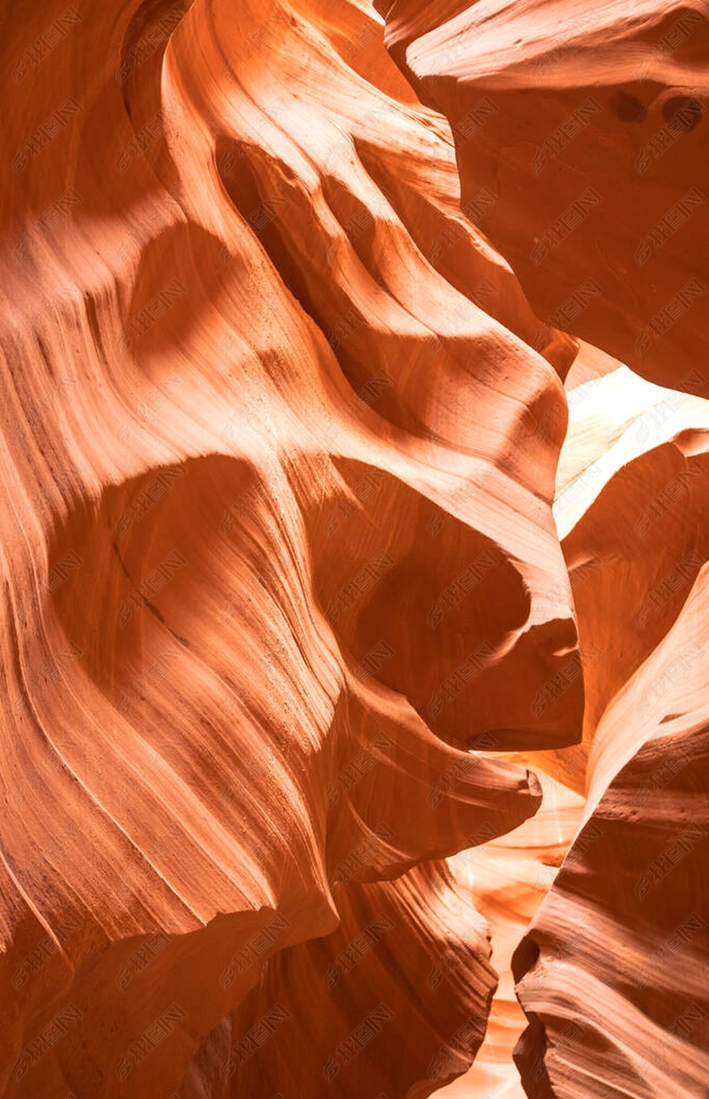 ɣԶ߻ϵAntelope CanyonơϲһشϿ.խۺ͵̵֦.