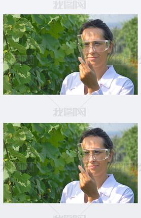 scientist doctor woman in white coat standing in green vineyard and looking at glass lab tube with l