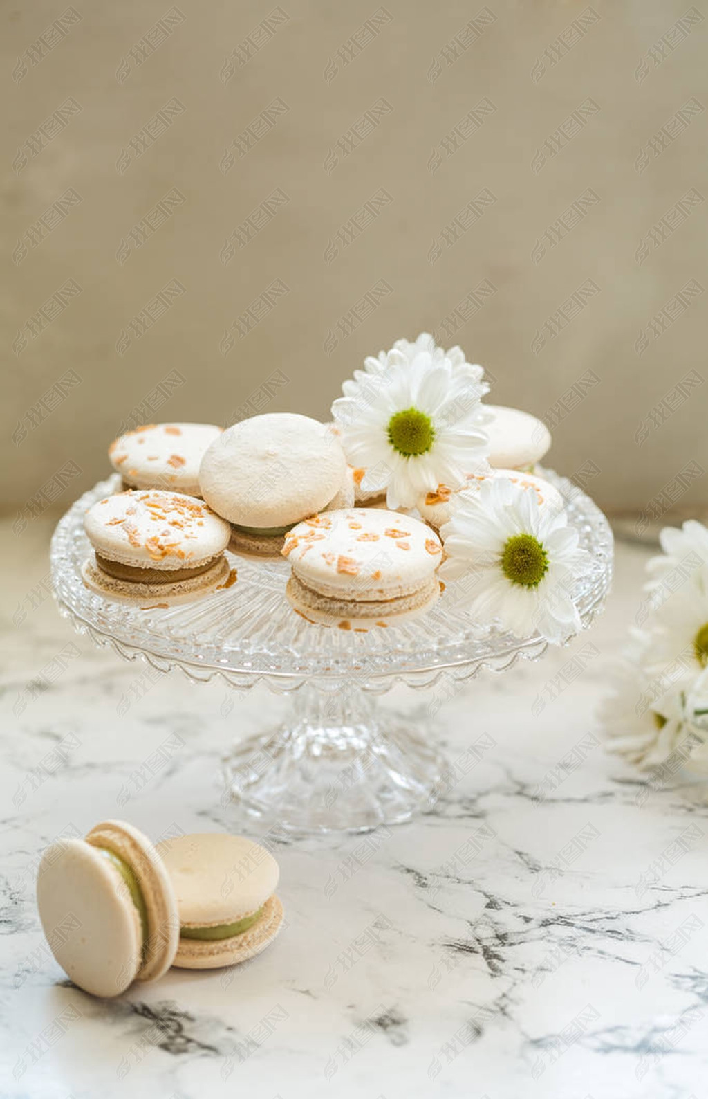  macaron, 꿨ڲ