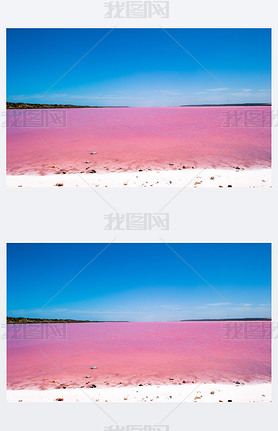 Pink Lake Australia Birds